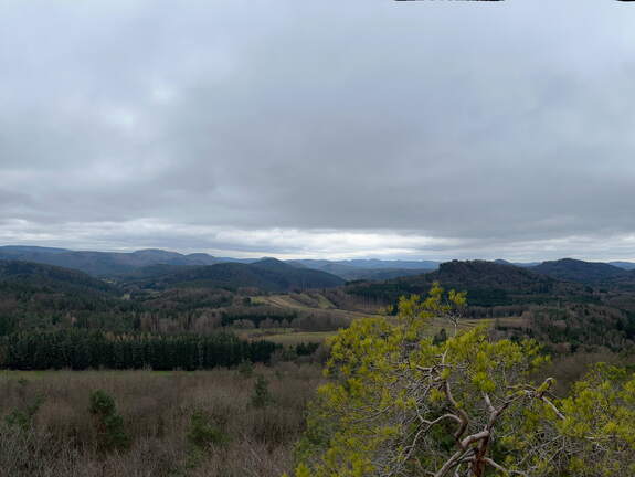 24-03-01 12-14-54 8864